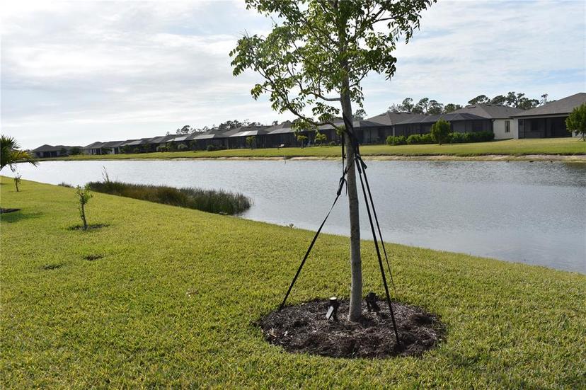 Picture of 2009 Mackerel Street, Port Charlotte FL 33953