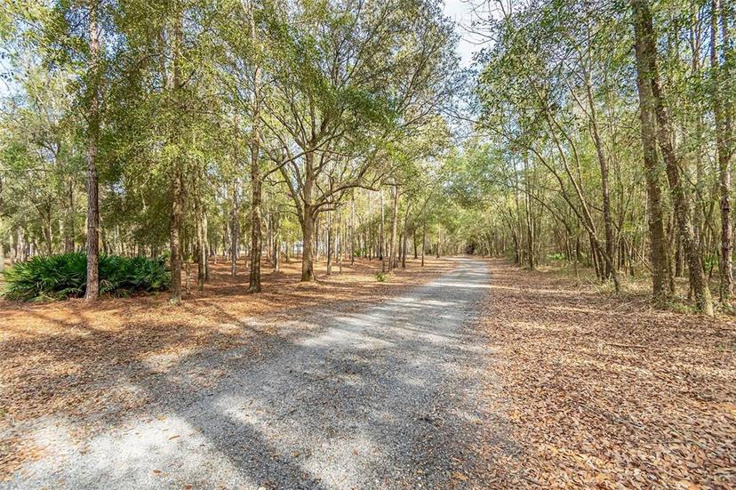 Picture of 399 NW Everett Terrace, White Springs FL 32096