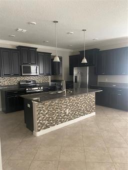 Picture of 2588 Bartolo Drive, Land O Lakes, FL 34639