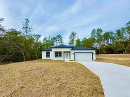 Picture of 7291 N Freeport Circle, Citrus Springs, FL 34434