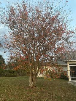 Picture of 1382 Ronald Street, North Port, FL 34286