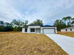 Picture of 8050 N Oberon Terrace, Dunnellon, FL 34434