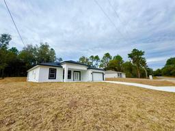 Picture of 8050 N Oberon Terrace, Dunnellon, FL 34434