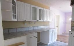 Picture of 924 Russell Avenue, Inverness, FL 34453
