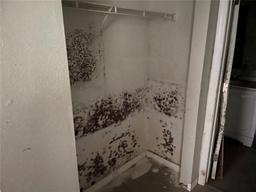 Picture of 5117 Behms Ct, Port Richey, FL 34668