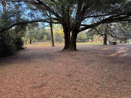 Picture of 2357 W Highway 316, Citra, FL 32113