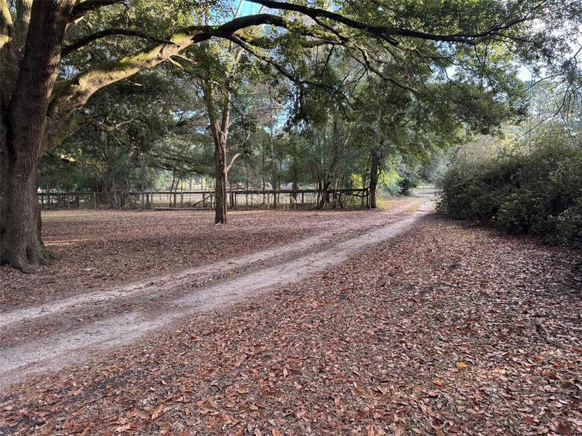 Picture of 2357 W Highway 316, Citra FL 32113