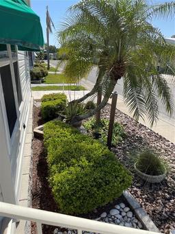 Picture of 1001 Starkey Road Unit 259, Largo, FL 33771