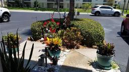 Picture of 255 Capri Circle N Unit 17, Treasure Island, FL 33706
