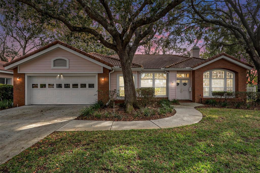 Picture of 8703 Cypress Mill Court, Tampa, FL 33647