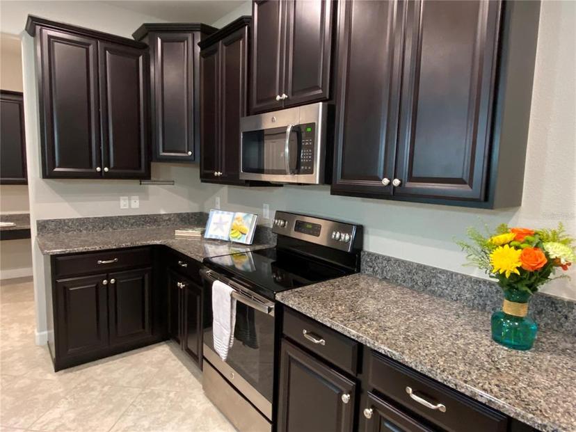Picture of 17241 Old Tobacco Road, Lutz FL 33558