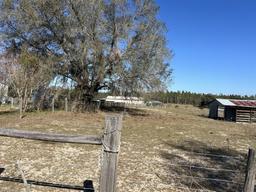 Picture of 2725 Schreffler Road, Groveland, FL 34736