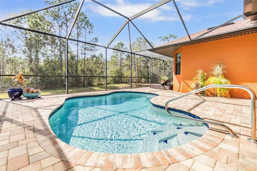 Picture of 1025 Ketzal Drive, Trinity FL 34655