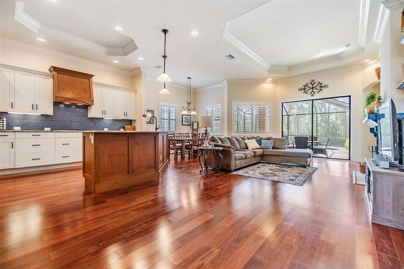 Picture of 1025 Ketzal Drive, Trinity FL 34655