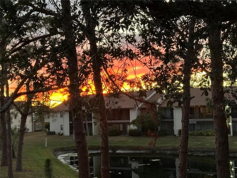 Picture of 654 Bird Bay Drive E Unit 206, Venice FL 34285
