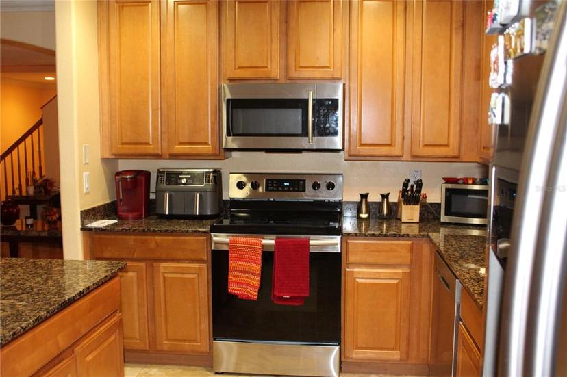 Picture of 17346 Mint Leaf Lane, Land O Lakes FL 34638