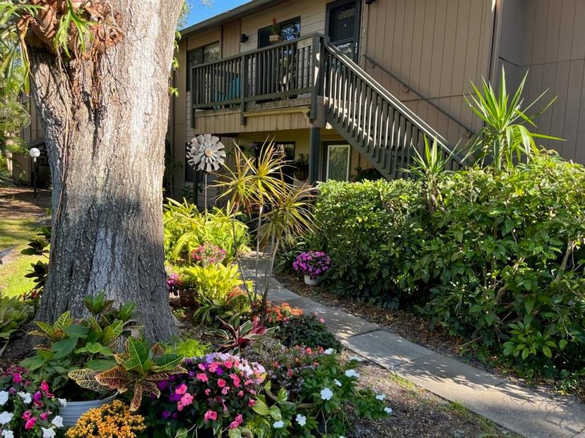 Picture of 1701 Pelican Cove Road Unit 359, Sarasota FL 34231