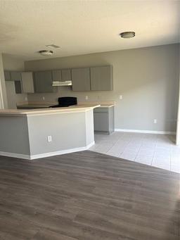 Picture of 9715 Carlsdale Drive, Riverview, FL 33578