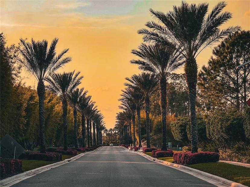 Picture of 14501 Grove Resort Avenue Unit 2407, Winter Garden FL 34787