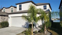 Picture of 4410 Summer Savory Street, Tampa, FL 33619