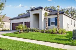 Picture of 31672 Cardinal Yard Drive, San Antonio, FL 33576