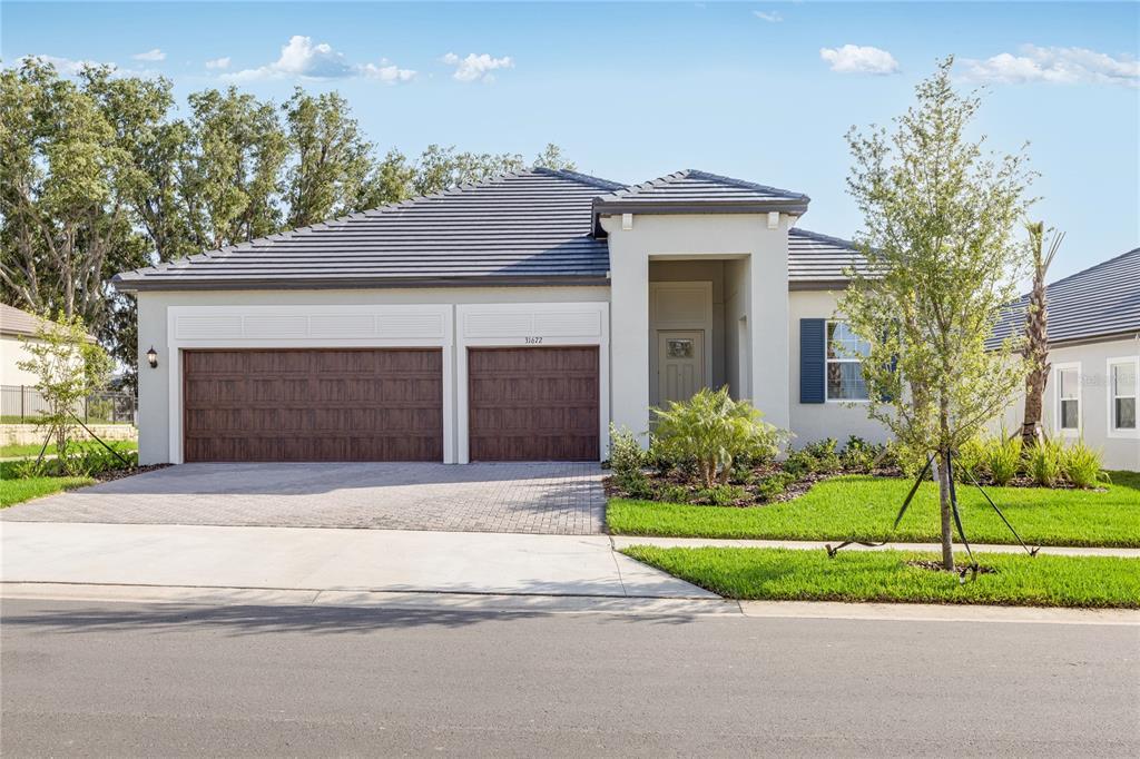 Picture of 31672 Cardinal Yard Drive, San Antonio, FL 33576