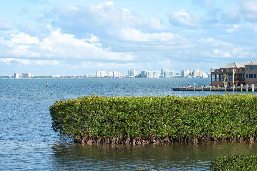 Picture of 560 Harbor Point Road, Longboat Key FL 34228