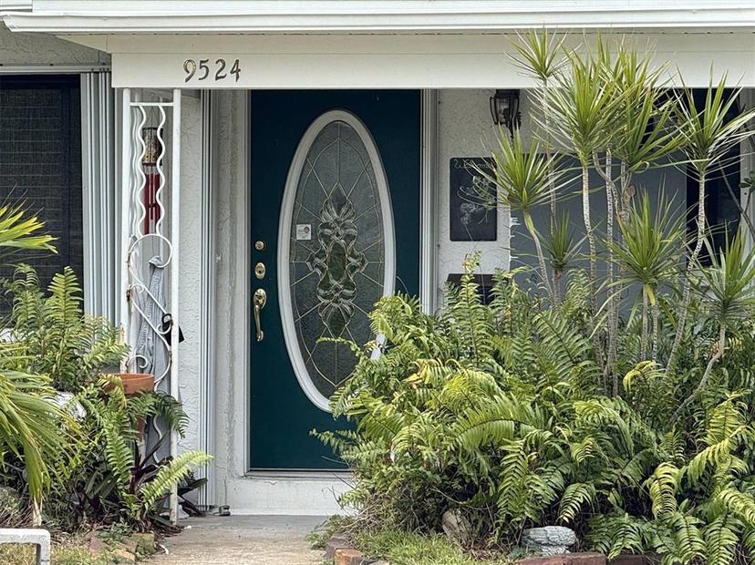 Picture of 9524 Treasure Lane Ne, St Petersburg FL 33702