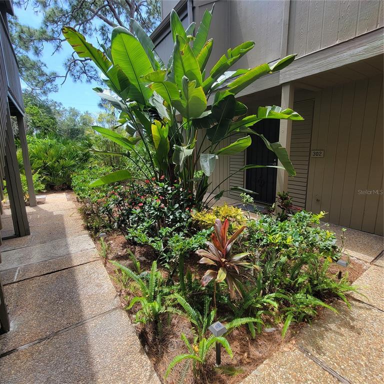 Picture of 304 Pine Run Drive, Osprey, FL 34229