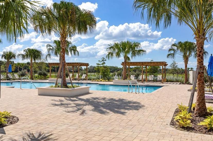 Picture of 5289 Everlong Drive, Apollo Beach FL 33572