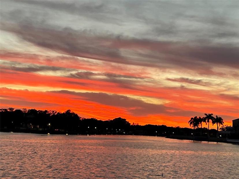 Picture of 2 Brightwaters Circle Ne, St Petersburg FL 33704