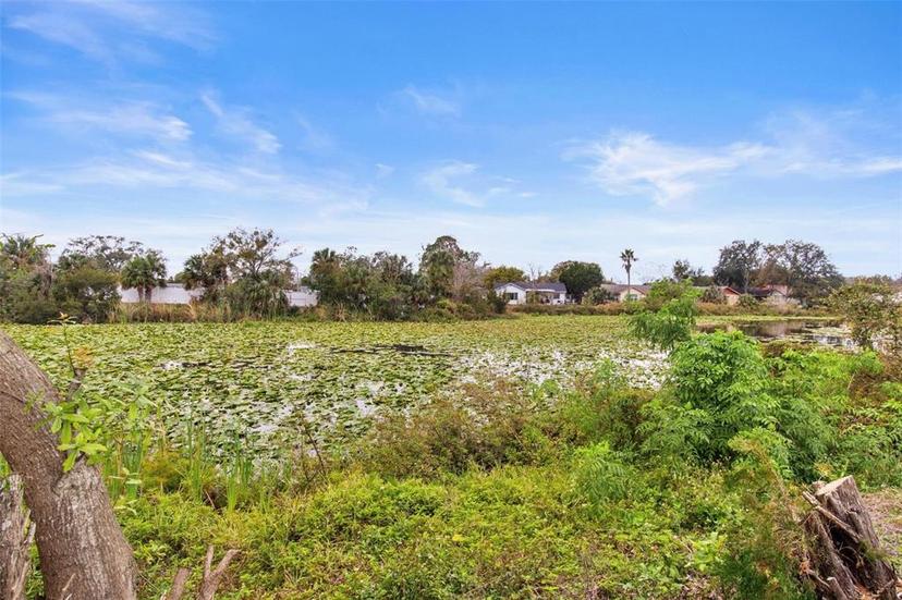 Picture of 3145 Covina Street, New Port Richey FL 34655
