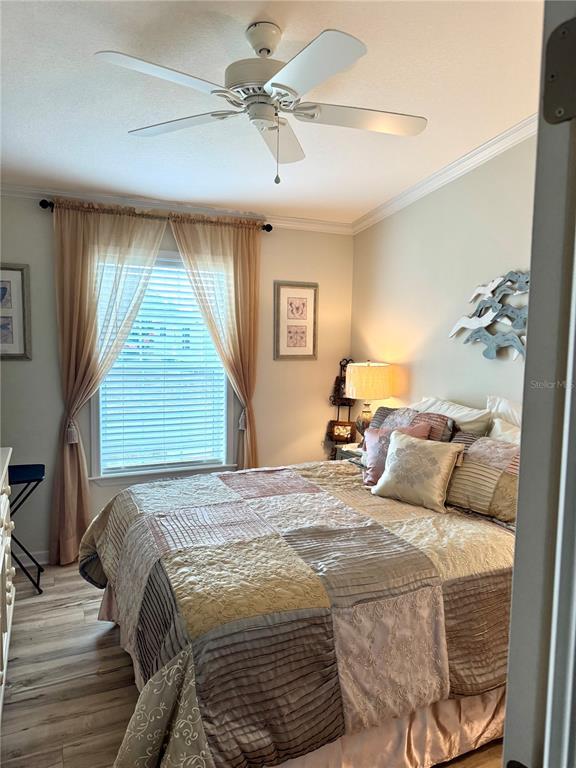 Picture of 4355 Whiting Way, Edgewater FL 32141