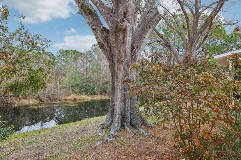 Picture of 312 Brigadoon Circle Unit 312, Leesburg FL 34788