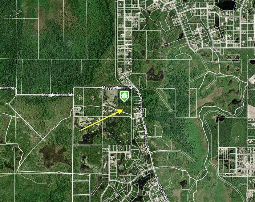 Picture of 40001 Maggie Jones Road, Paisley FL 32767