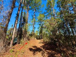 Picture of 40001 Maggie Jones Road, Paisley, FL 32767