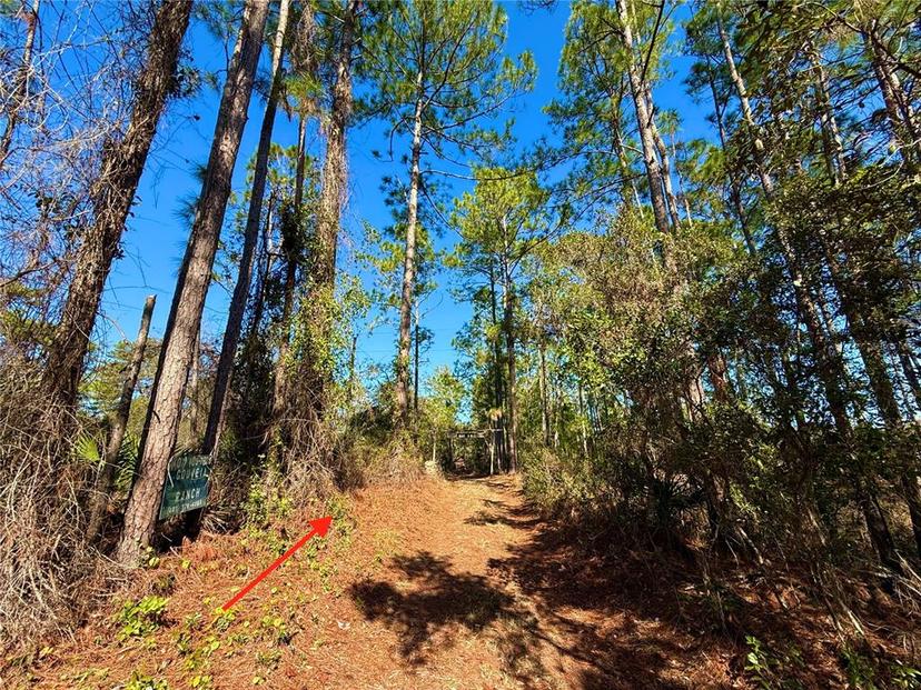 Picture of 40001 Maggie Jones Road, Paisley FL 32767
