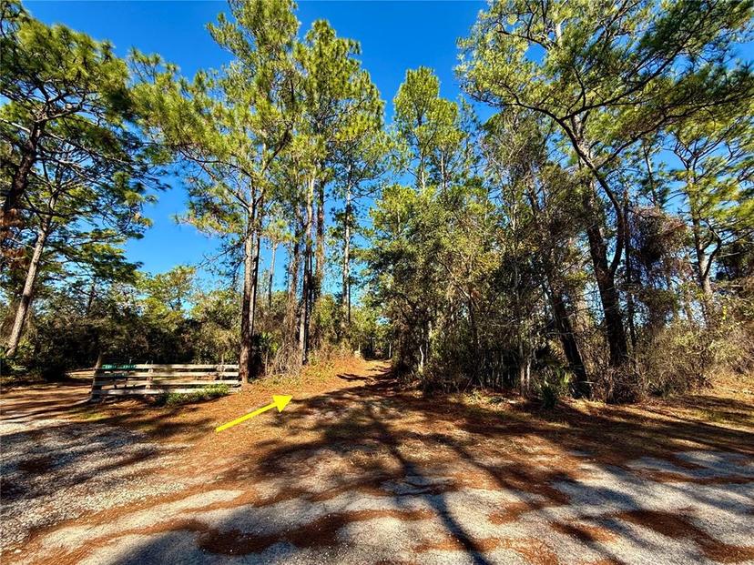 Picture of 40001 Maggie Jones Road, Paisley FL 32767