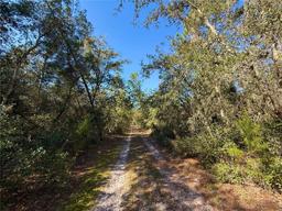 Picture of 40001 Maggie Jones Road, Paisley, FL 32767