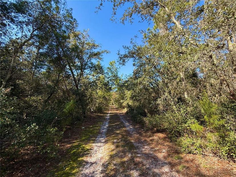 Picture of 40001 Maggie Jones Road, Paisley FL 32767