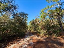 Picture of 40001 Maggie Jones Road, Paisley, FL 32767
