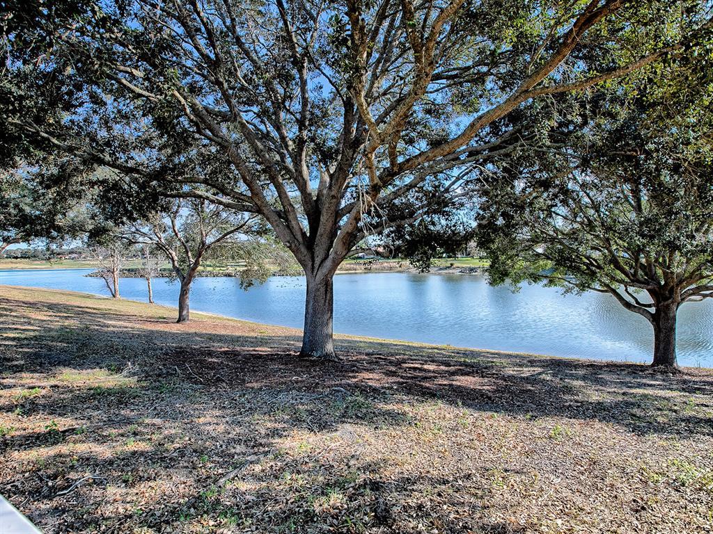 Picture of 8480 SE 167Th Forsyth Street, The Villages, FL 32162