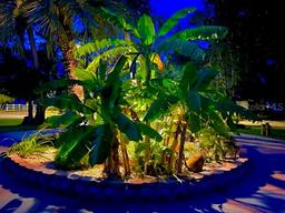 Picture of 11882 W Bayshore Drive, Crystal River, FL 34429
