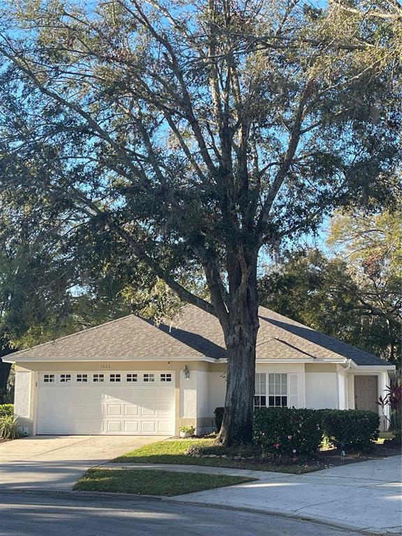 Picture of 7023 Arcadian Court, Mount Dora, FL 32757