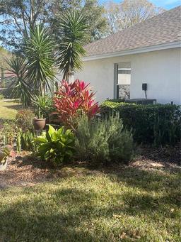 Picture of 7023 Arcadian Court, Mount Dora, FL 32757