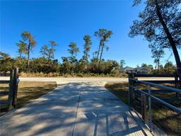 Picture of 41913 Cassia Street, Eustis, FL 32736