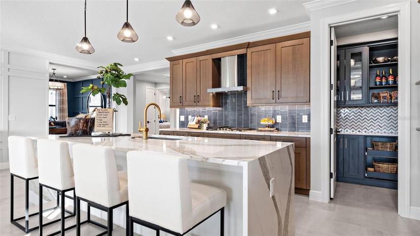 Picture of 14517 Coastal Woodland Lane, Parrish FL 34219