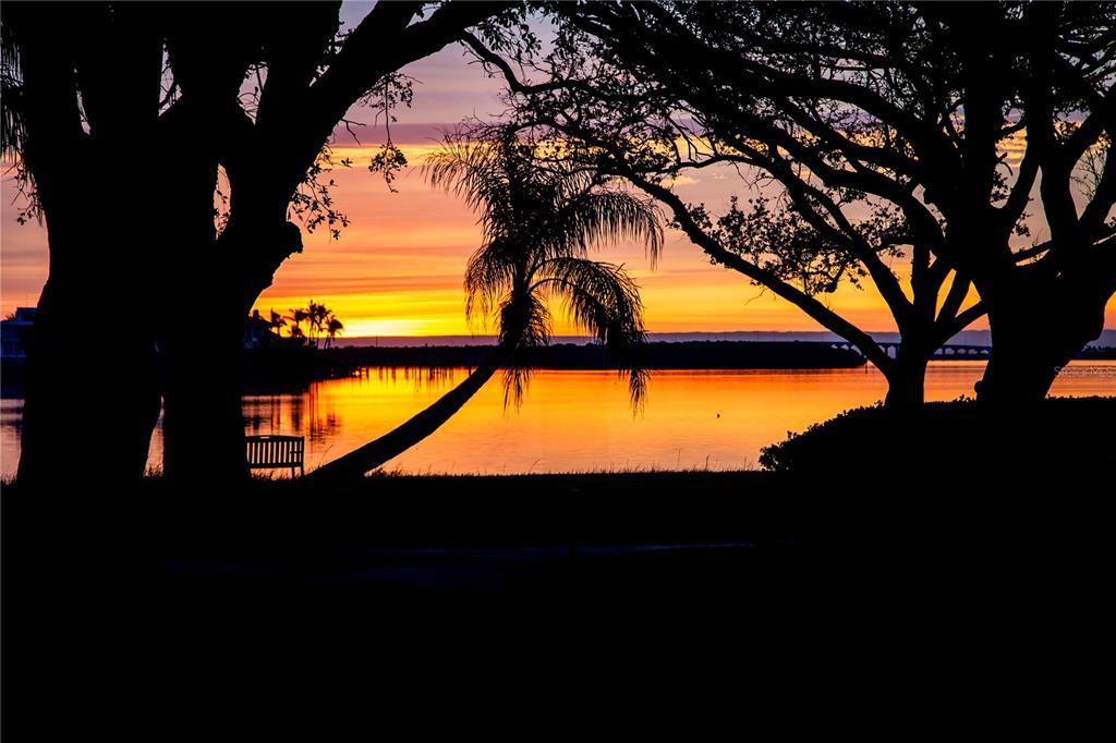 Picture of 6158 Palma Del Mar Boulevard S Unit 116, St Petersburg, FL 33715