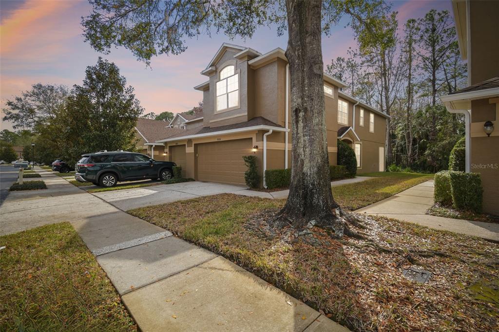 Picture of 18924 Duquesne Drive, Tampa, FL 33647