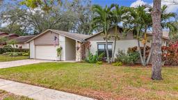 Picture of 3005 Enisglen Drive, Palm Harbor, FL 34683